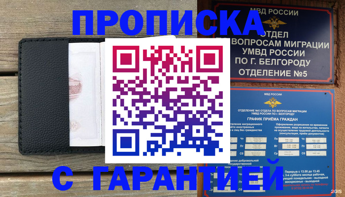 купить прописку в Чечне